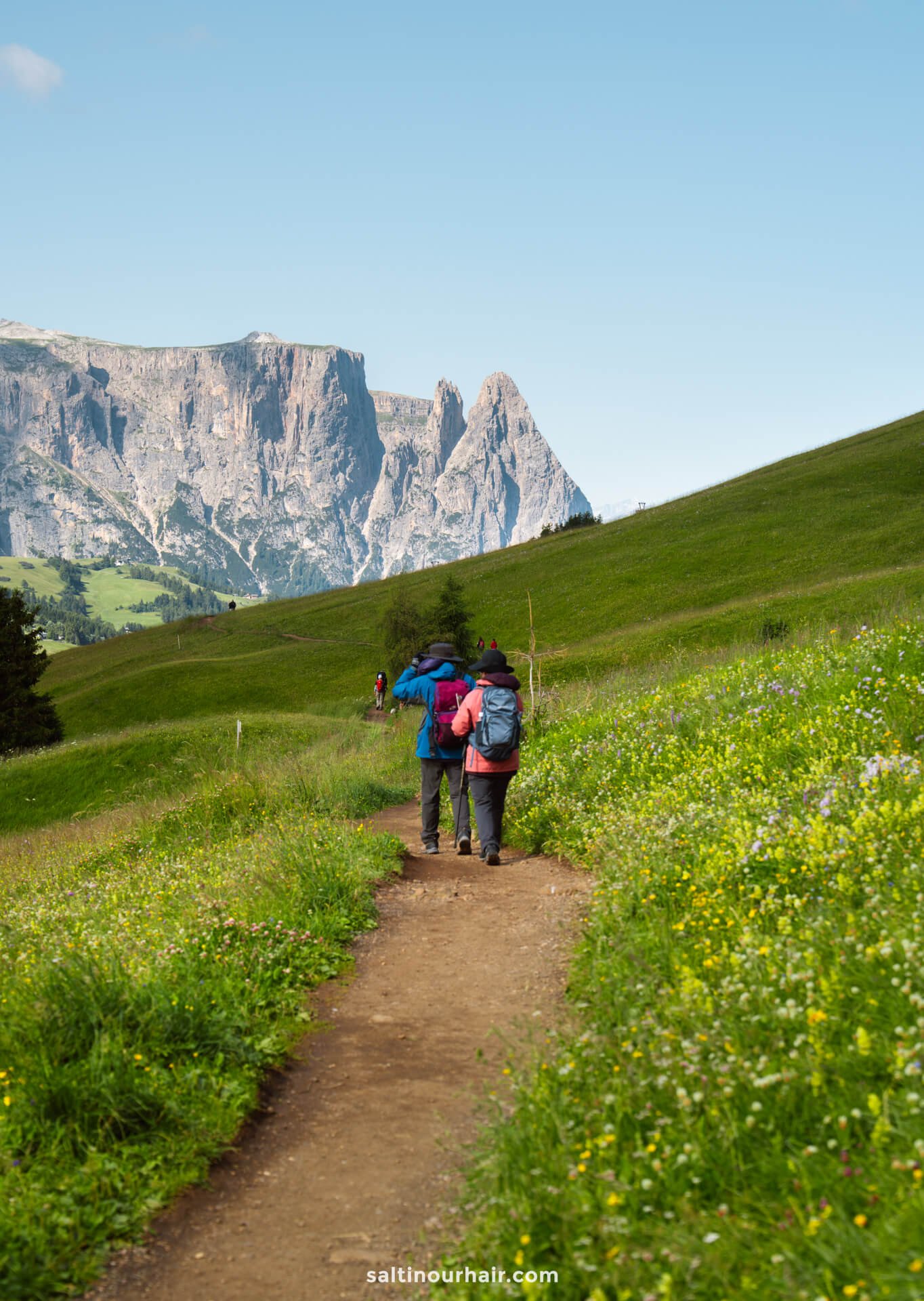 Two hikers with backpacks walk on a dirt path through a green meadow filled with wildflowers in Seiser Alm, Dolomites, Italy, with rocky mountains rising in the background under a clear sky.