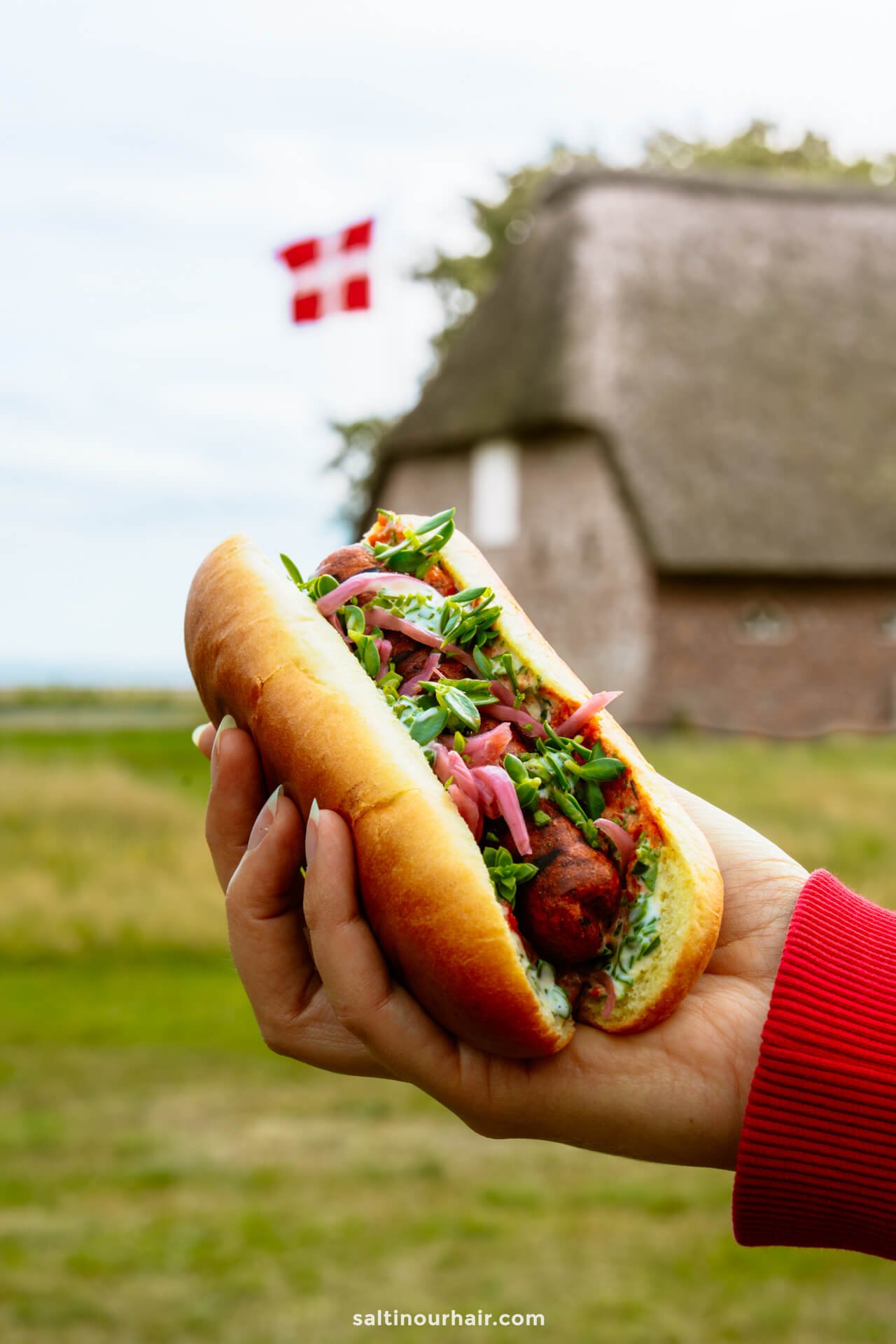 A hand holds a topped hot dog outdoors, with a blurred traditional building and Danish flag in the background—an appetizing pause on any Denmark itinerary.