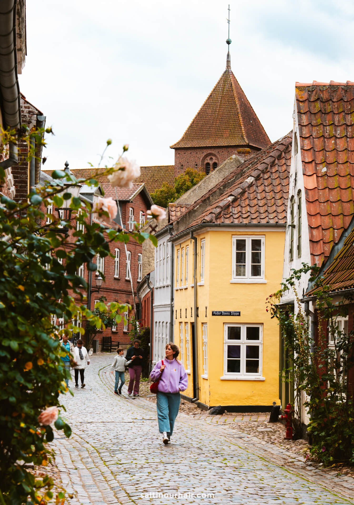 A woman walks along a cobblestone street lined with colorful buildings and flowers in Ribe, a charming highlight for any Denmark itinerary.