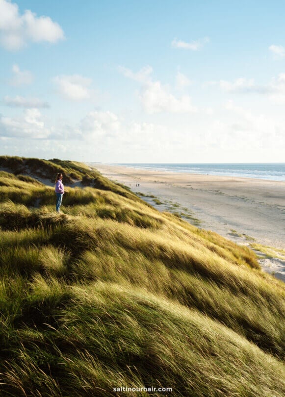 A person stands on grassy dunes overlooking a sandy beach and the ocean under a partly cloudy sky, capturing the serene beauty perfect for any Denmark itinerary.