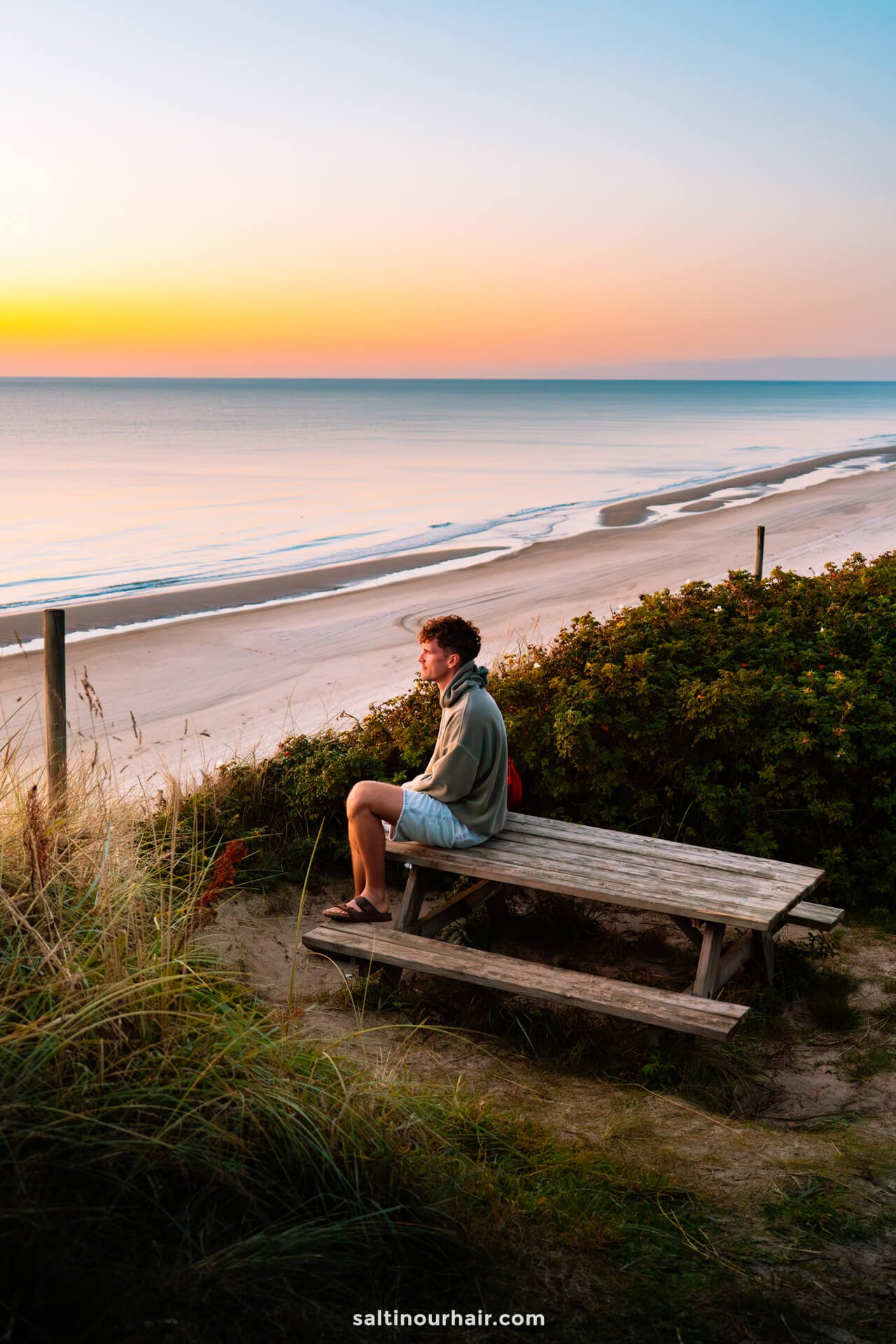 A man sits alone on a wooden bench overlooking a sandy beach and calm sea at sunset, with green bushes and tall grass in the foreground—a peaceful stop on any Denmark itinerary.
