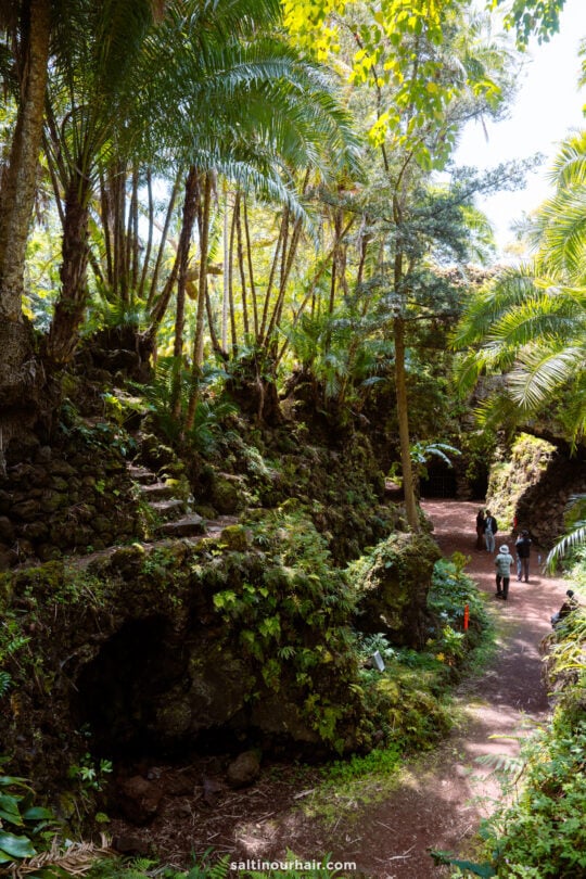 A lush, green forest path with stone walls, stairs, and several people walking in the distance under tall palm trees at Jardim Bot&acirc;nico Ant&oacute;nio Borges in Ponta Delgada sao miguel azores
