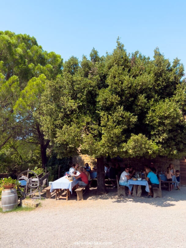 People sit at picnic tables with blue checkered tablecloths under a large tree outdoors on a sunny day, enjoying the charm of a farm to table experience in Tuscany Italy.