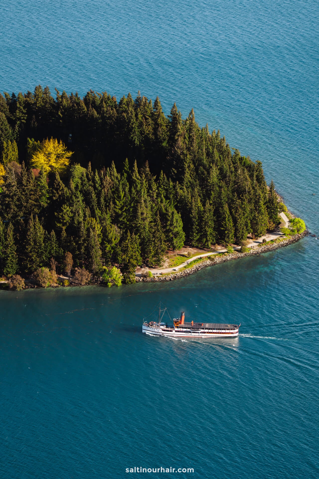 A white boat sails near a forested island surrounded by blue water under daylight, evoking the scenic adventures and things to do in Queenstown.