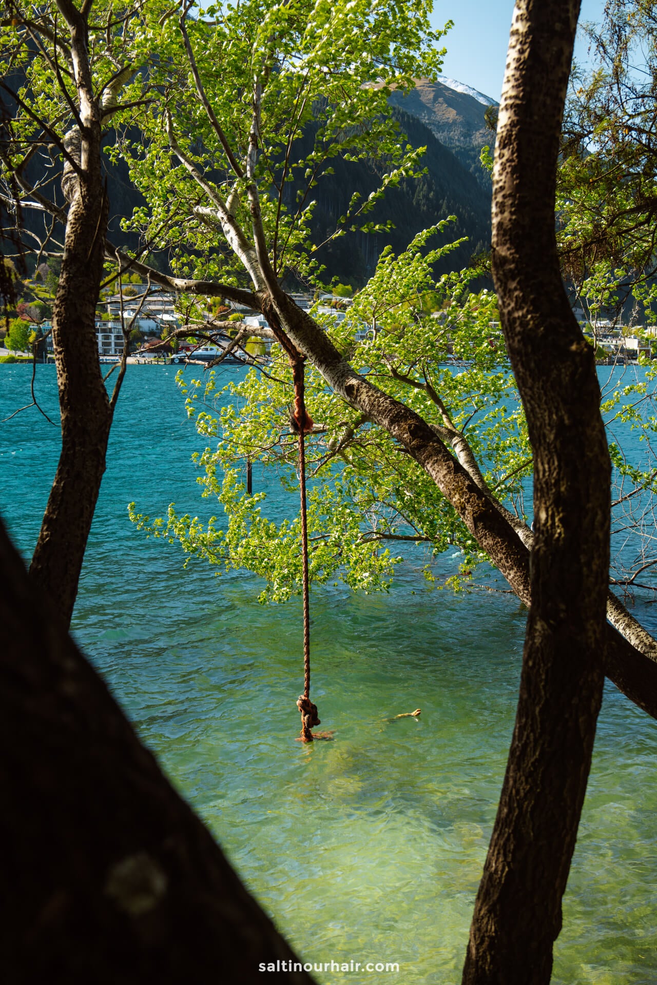A tree with a rope swing hanging over a clear blue lake, with mountains and buildings in the background&mdash;one of the iconic things to do in Queenstown.