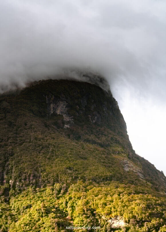 A steep, forested mountain slope in Doubtful Sound, New Zealand is partially covered by a thick layer of clouds at the summit, with sunlight illuminating the greenery below.