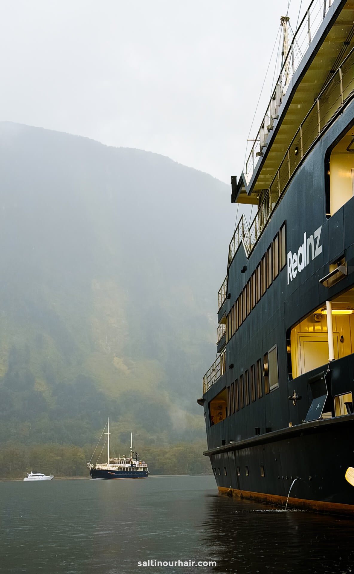 Large ship with RealNZ on the side docked in a misty doubtful sound fjord, with two smaller boats visible on the water and forested mountains in the background.