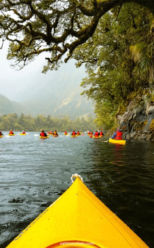 A group of people kayaking on a river surrounded by lush greenery and rocky cliffs, viewed from behind a yellow kayak&mdash;an unforgettable Doubtful Sound day trip from Queenstown, New Zealand.