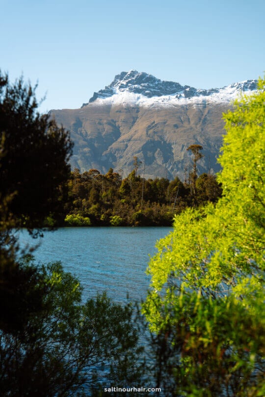 A snow-capped mountain rises in the background behind a lake, with green trees and shrubs in the foreground under a clear blue sky&mdash;perfect for exploring some of the best things to do Queenstown has to offer.