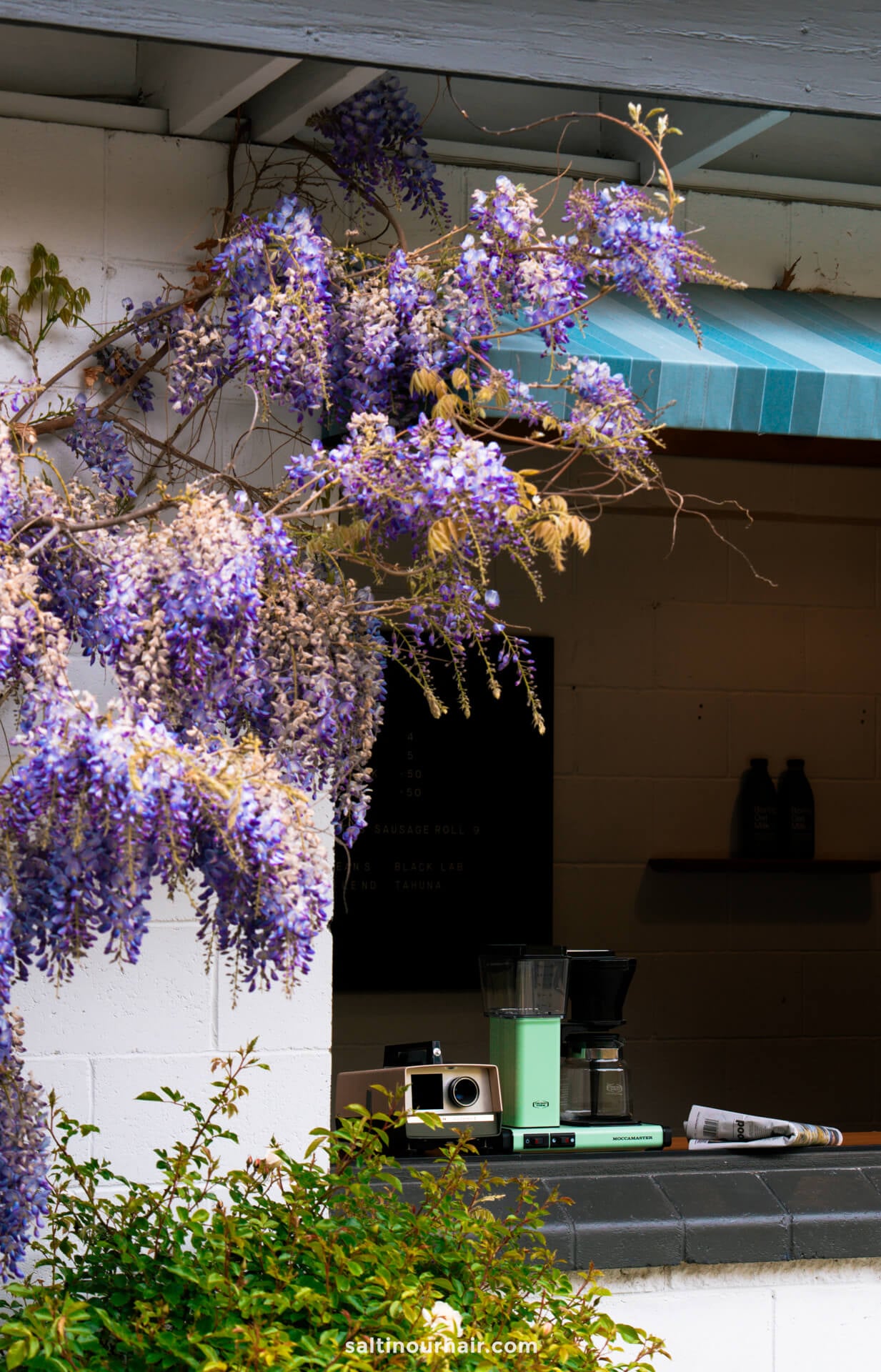 Purple wisteria flowers hang over a white brick outdoor counter with a coffee maker, scale, camera, and two bottles visible on the counter in Arrowtown, New Zealand.