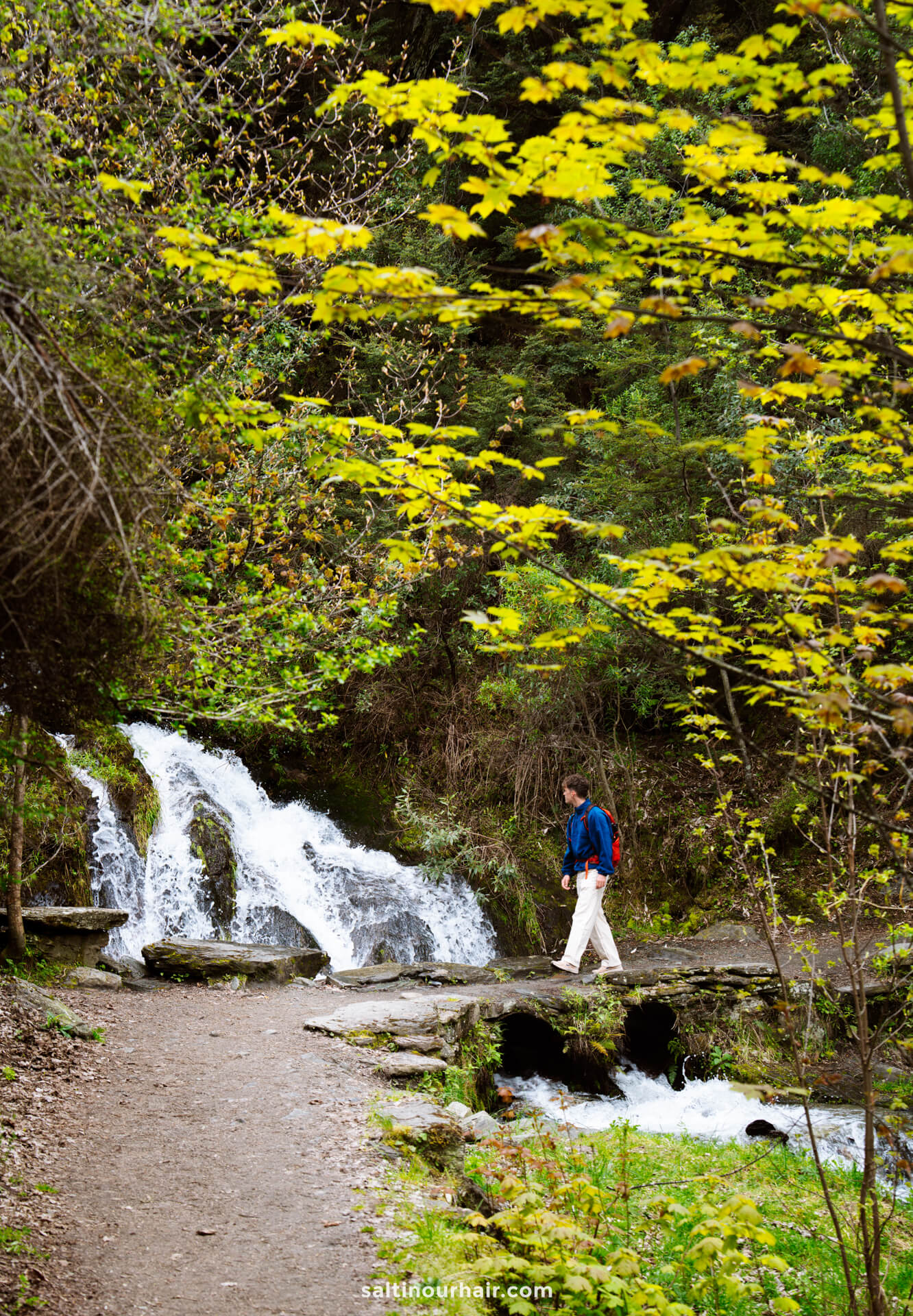 A person walks on a dirt path by a small waterfall in the lush, green forest of Arrowtown, New Zealand, surrounded by yellowing leaves.
