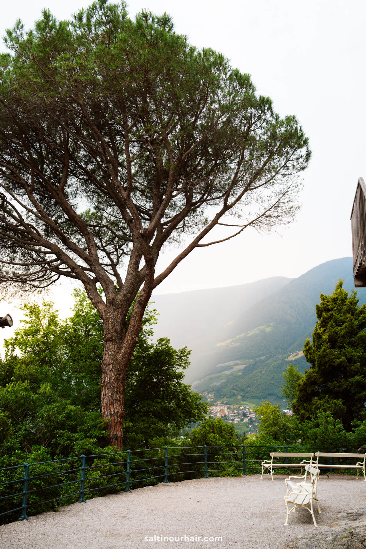 Scenic viewpoint with a large tree and a few benches overlooking Merano Italy valley.