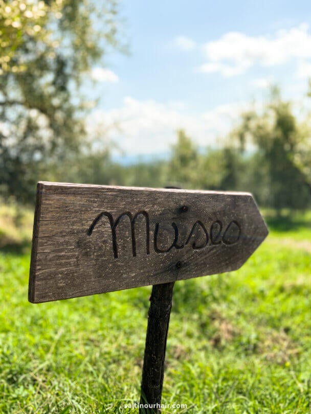 A wooden arrow-shaped sign with the word Museo written on it, set outdoors in a grassy area with trees in the background.