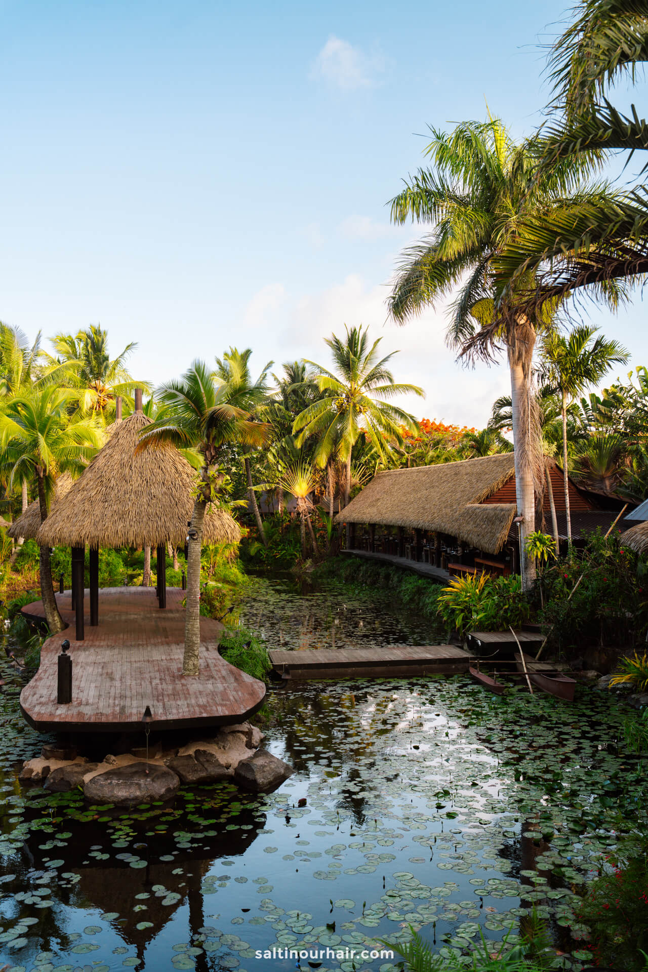 A wooden walkway with thatched-roof gazebo crosses a pond filled with lily pads, surrounded by palm trees and lush tropical vegetation under a clear sky&mdash;one of the tranquil things to do in Rarotonga.