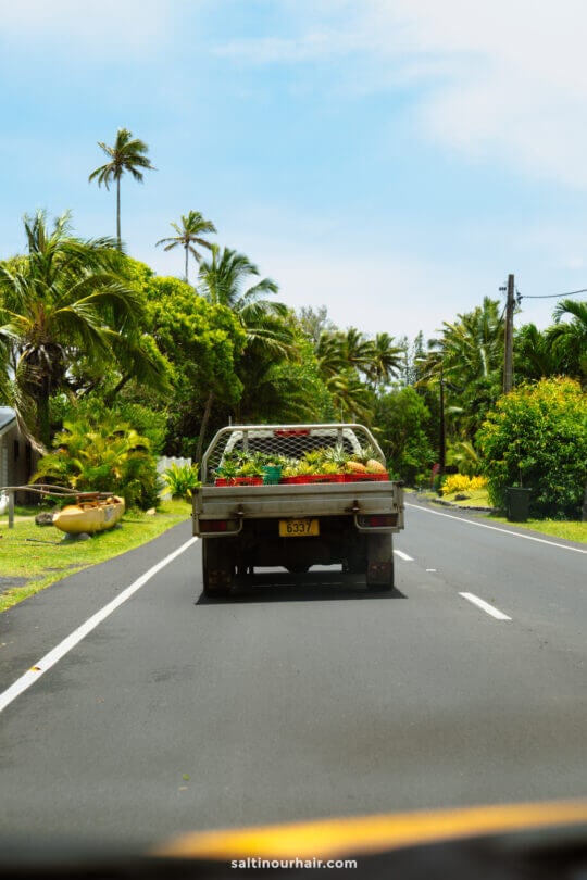 A pickup truck carrying plants drives down a two-lane road lined with palm trees and tropical greenery under a blue sky&mdash;just one of the scenic sights you&rsquo;ll find among the many things to do in Rarotonga, Cook Islands