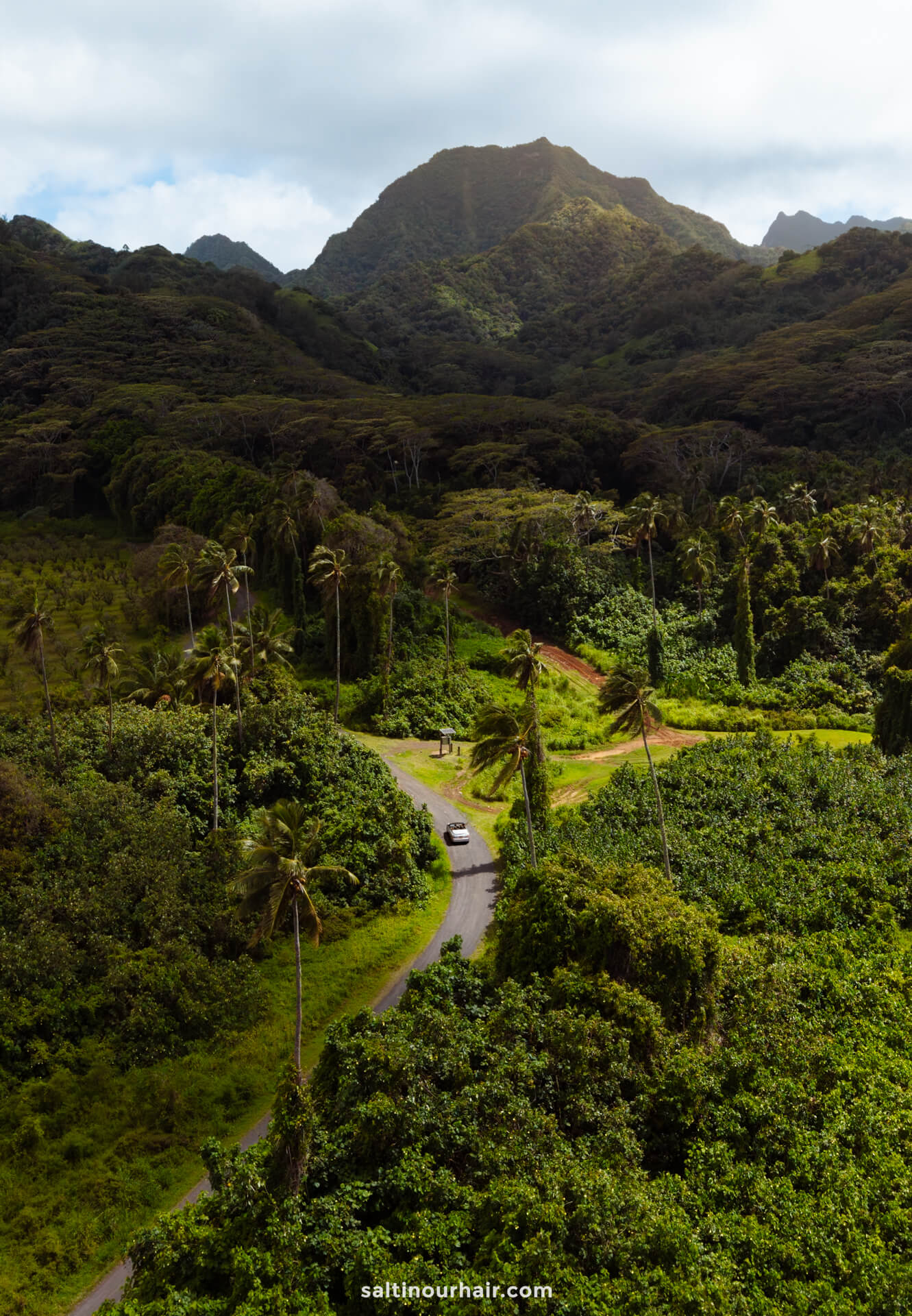 A winding road cuts through dense green vegetation with tall palm trees, set against a backdrop of lush mountains under a partly cloudy sky&mdash;an inviting scene for those seeking things to do in Rarotonga, Cook Islands