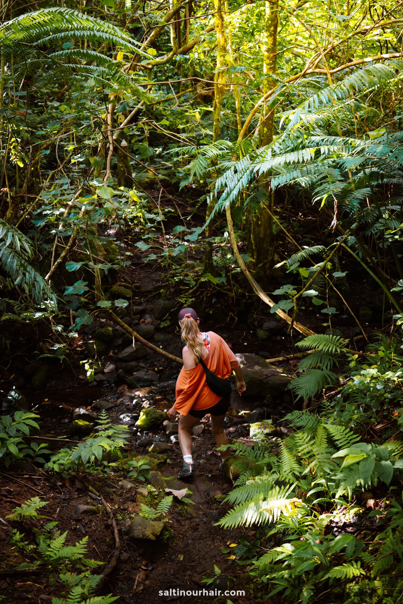 A person wearing an orange shirt walks through a lush, green forest with ferns and dense vegetation along a rocky path&mdash;one of the memorable things to do in Rarotonga, Cook Islands