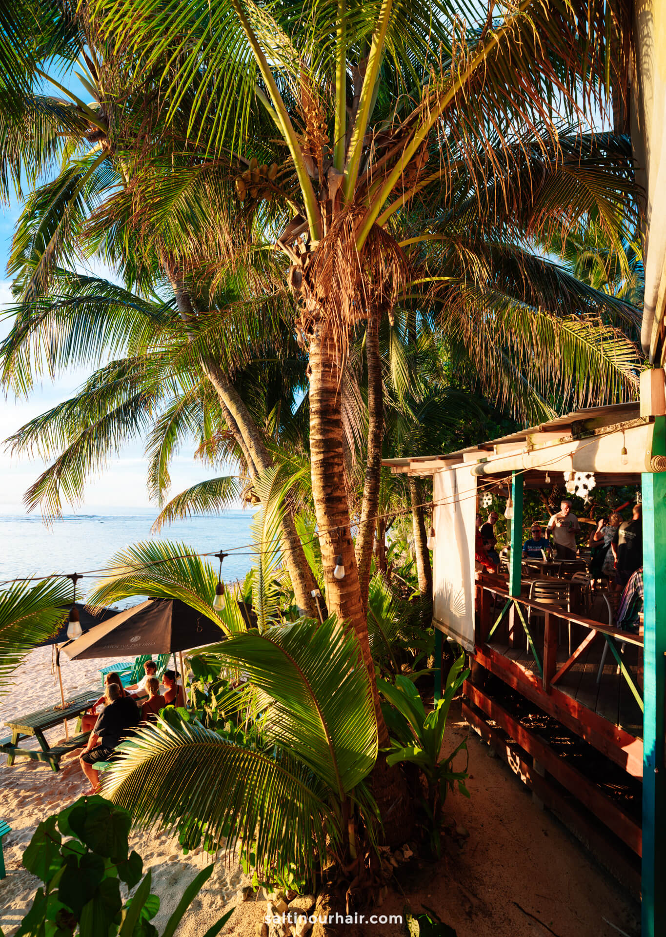 A beachside restaurant with people dining under a canopy, surrounded by palm trees and tropical plants, overlooking the ocean&mdash;one of the must-try things to do Rarotonga offers.