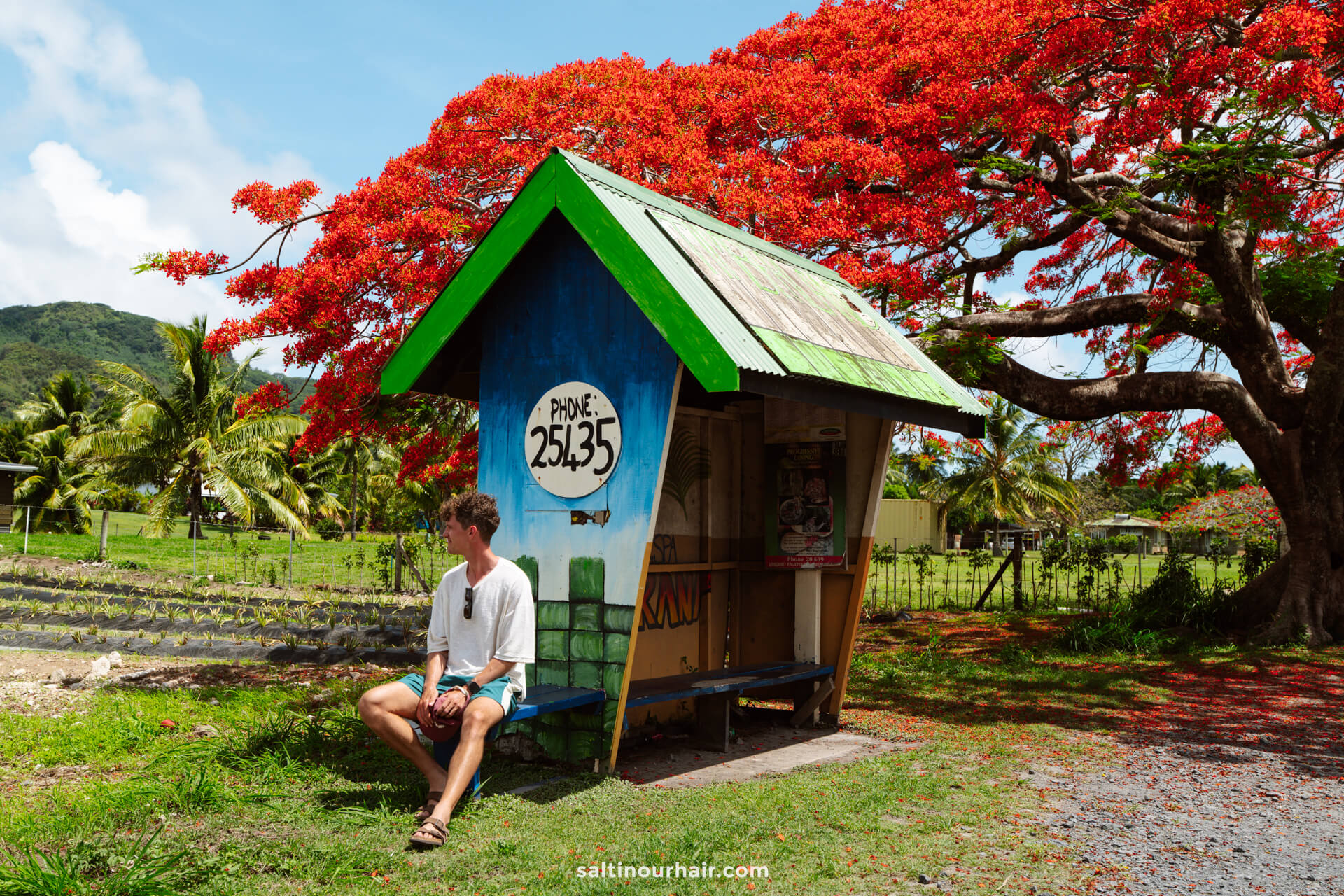 A man sits on a bench at a small, colorful hut-like bus stop under a large red-flowering tree, surrounded by tropical greenery and Rarotonga&rsquo;s mountains&mdash;capturing the laid-back charm of things to do in Rarotonga, Cook Islands