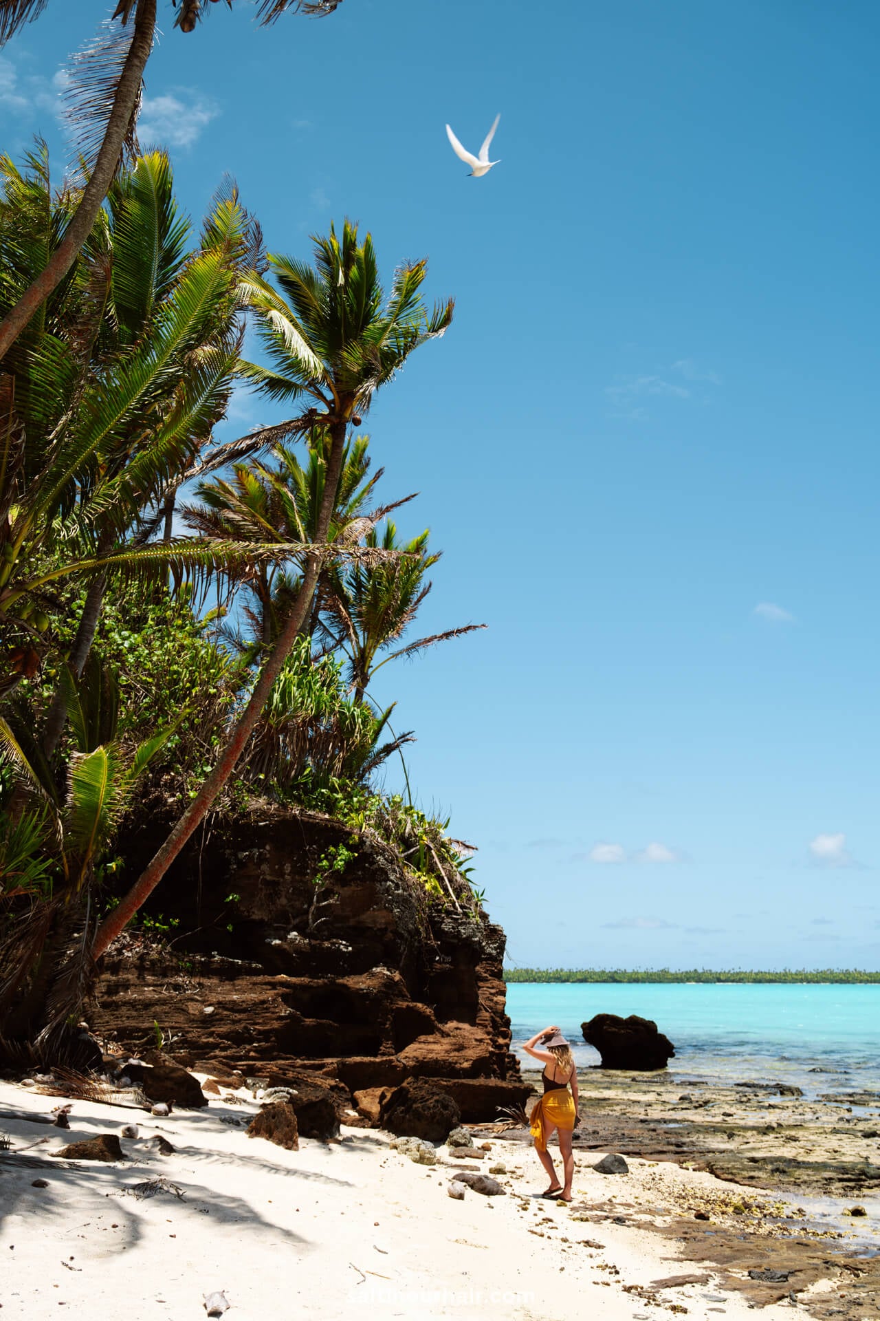 A person in a hat stands on a Aitutaki island boat tour near rocky cliffs and palm trees, with clear blue sky, turquoise water, and a bird flying overhead.