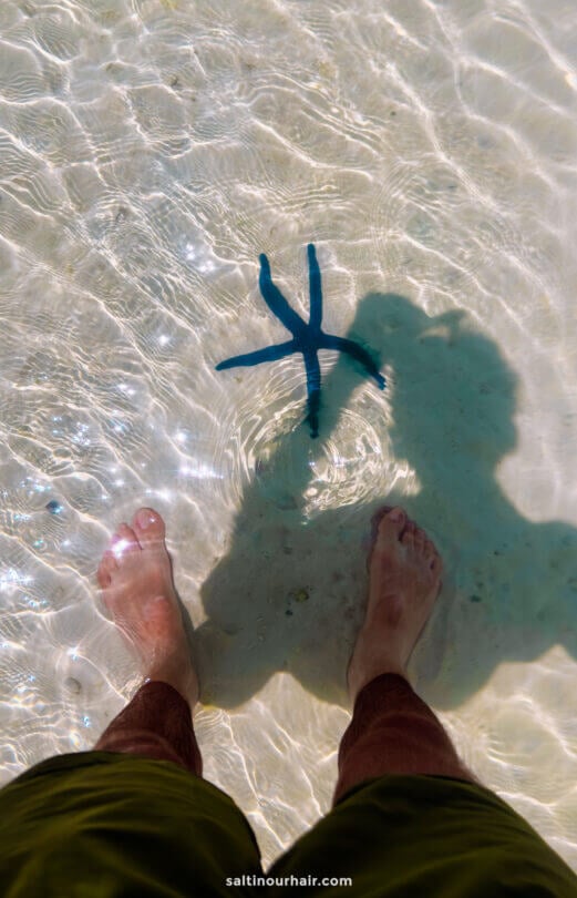 A person stands in shallow, clear water on Aitutaki Island near a blue starfish, their shadow visible on the sandy bottom.
