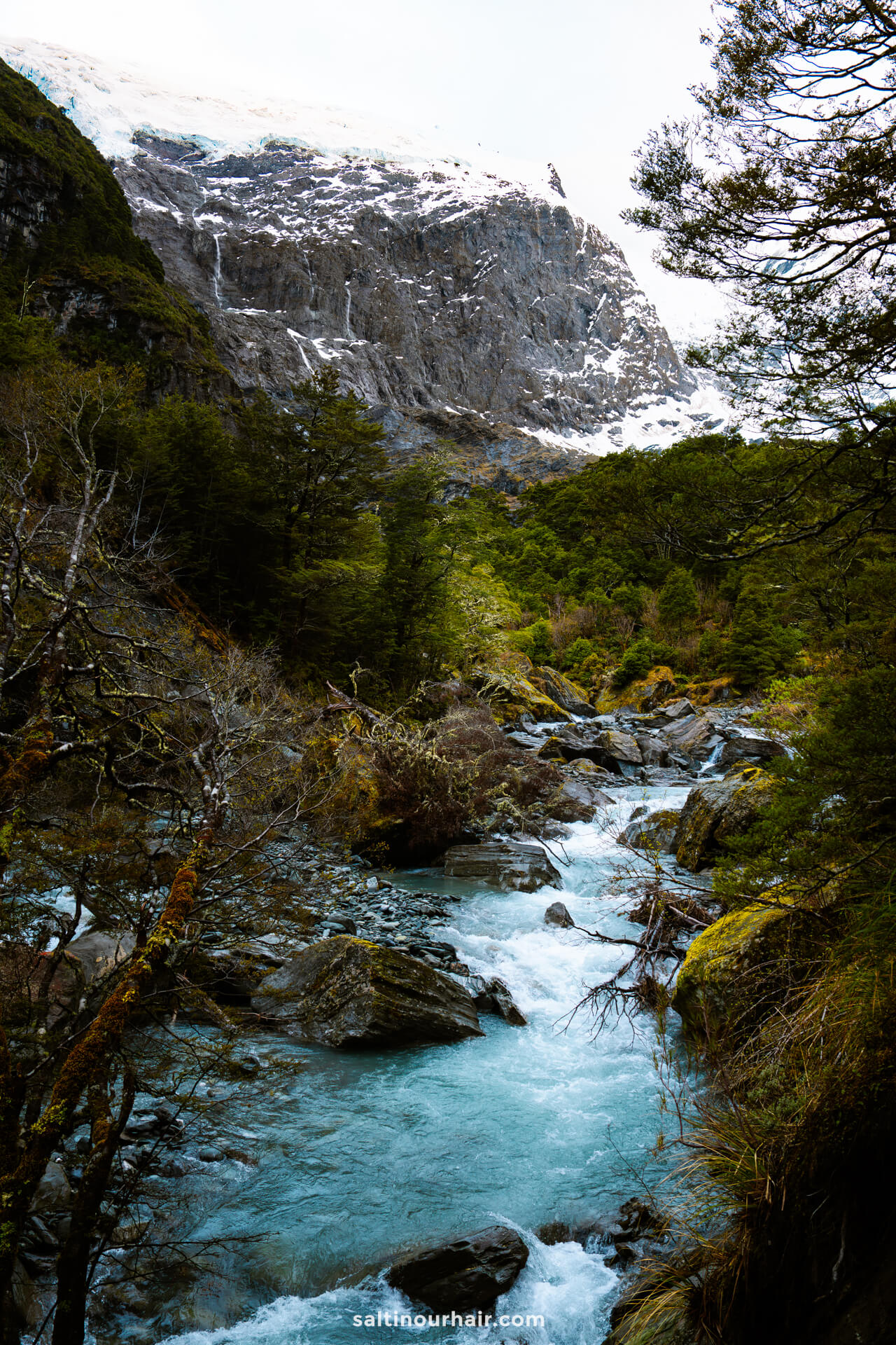 A clear mountain river flows through a rocky, forested landscape along the scenic Rob Roy Track, with snow-capped cliffs in the background.
