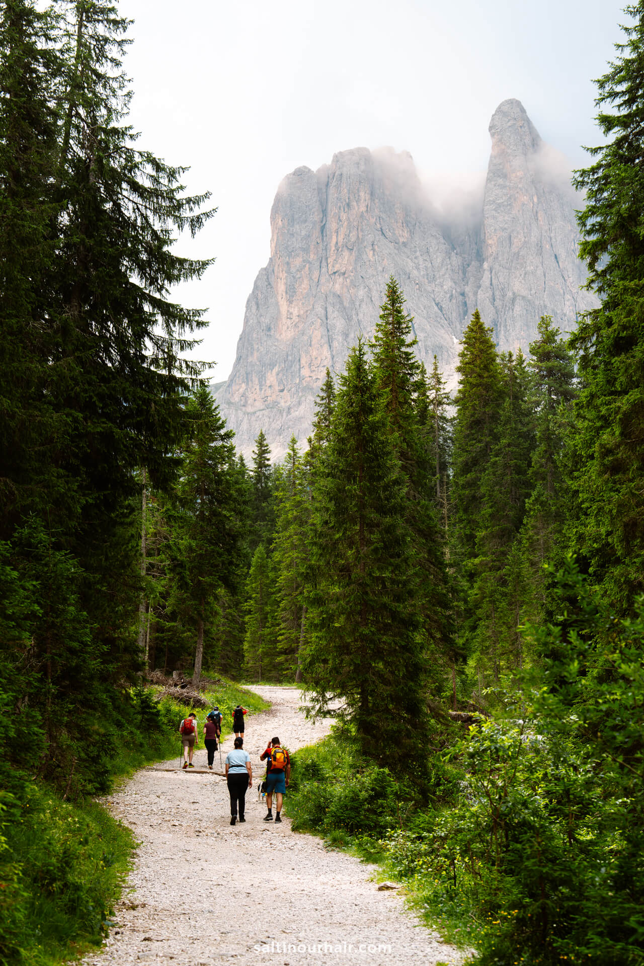 A group of hikers walks along the scenic Adolf Munkel Trail in the Dolomites, surrounded by tall pine trees and dramatic rocky peaks rising in the background.