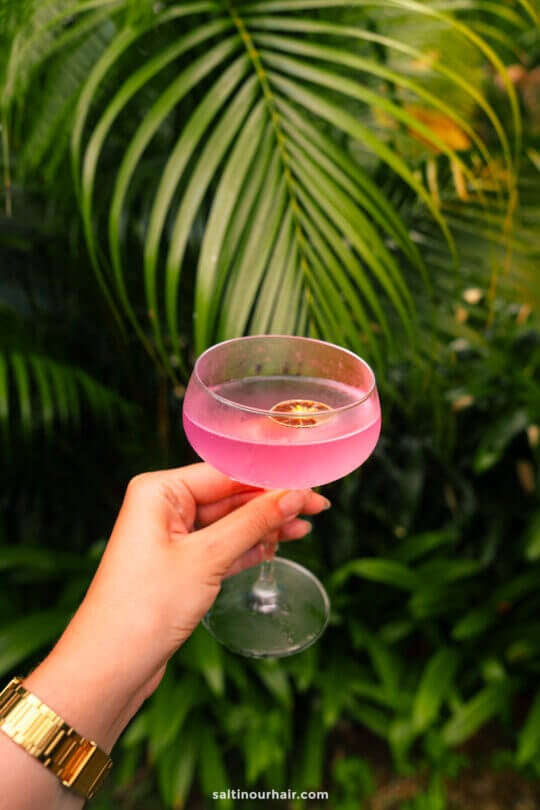 A hand holding a pink cocktail in a coupe glass with a dried citrus slice, set against lush green tropical leaves at Bambootel luxury eco hotel bali