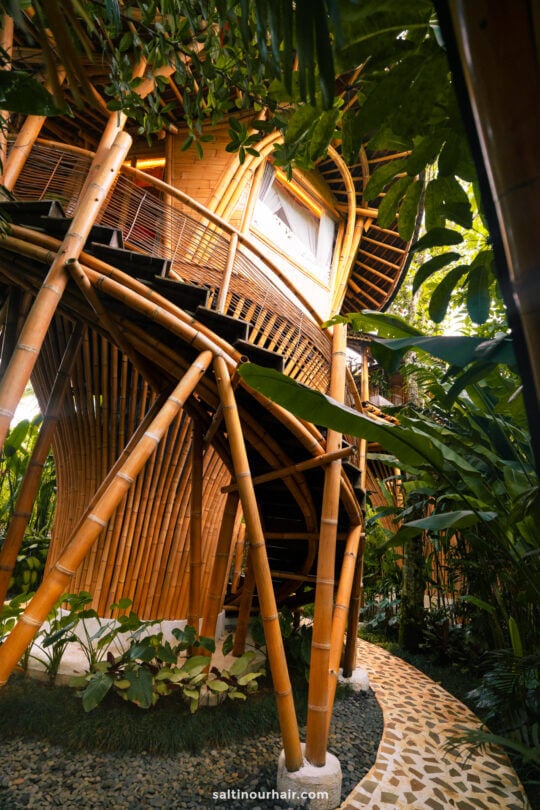A modern bambootel treehouse in bali with curved staircases and large windows is surrounded by lush green plants and a stone path.
