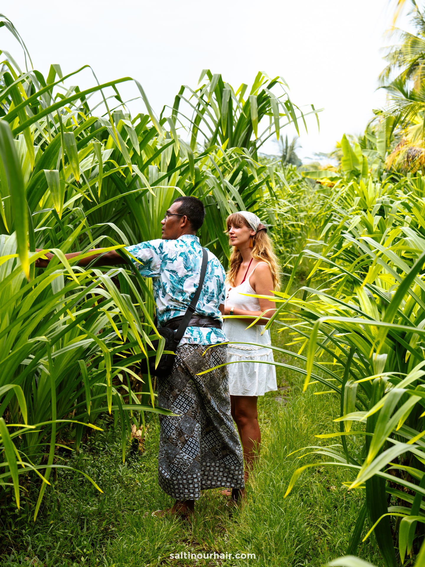 A man and a woman walk through tall green plants along a narrow grassy path during a Bali traditional tour, with the man pointing ahead.
