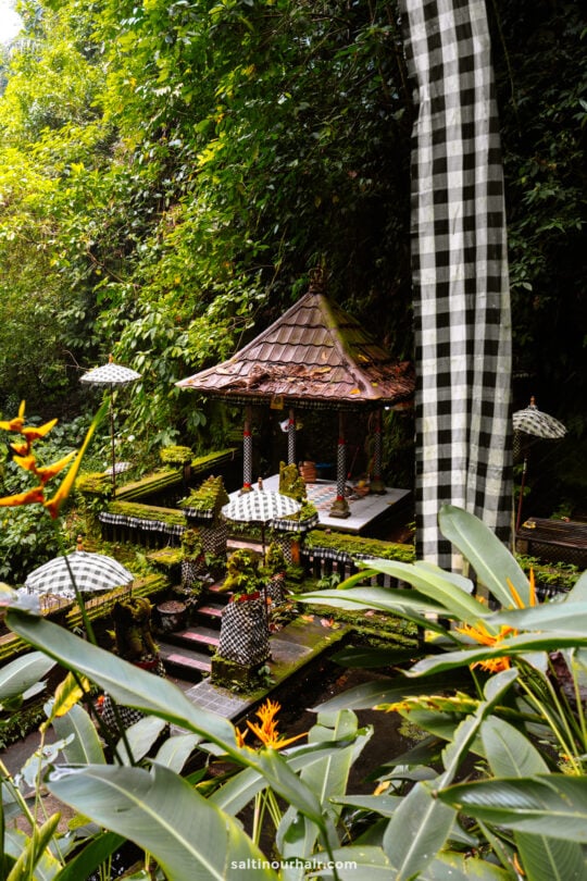 A small Balinese temple with moss-covered stone, black-and-white checkered cloths, and white umbrellas, surrounded by lush green plants and trees&mdash;an authentic sight often featured on a Bali cultural tour.