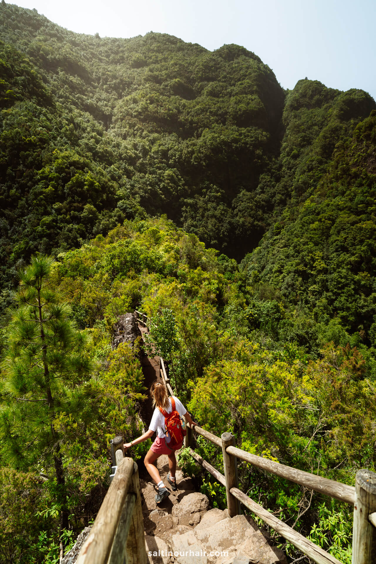 A person with a red backpack walks down a rocky trail with wooden railings on La Palma, surrounded by dense green forest and tall mountains—an unforgettable scene from any stellar Canary Islands travel guide.