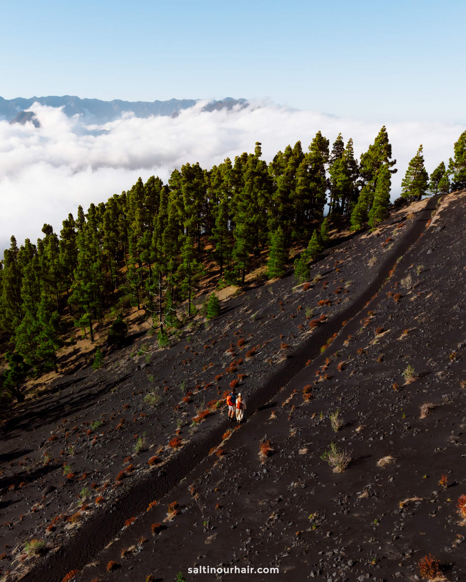 A person rides a horse along a narrow dirt trail on a dark, rocky hillside in La Palma, Canary Islands, with pine trees and clouds drifting in the background—a scene straight from a travel guide.