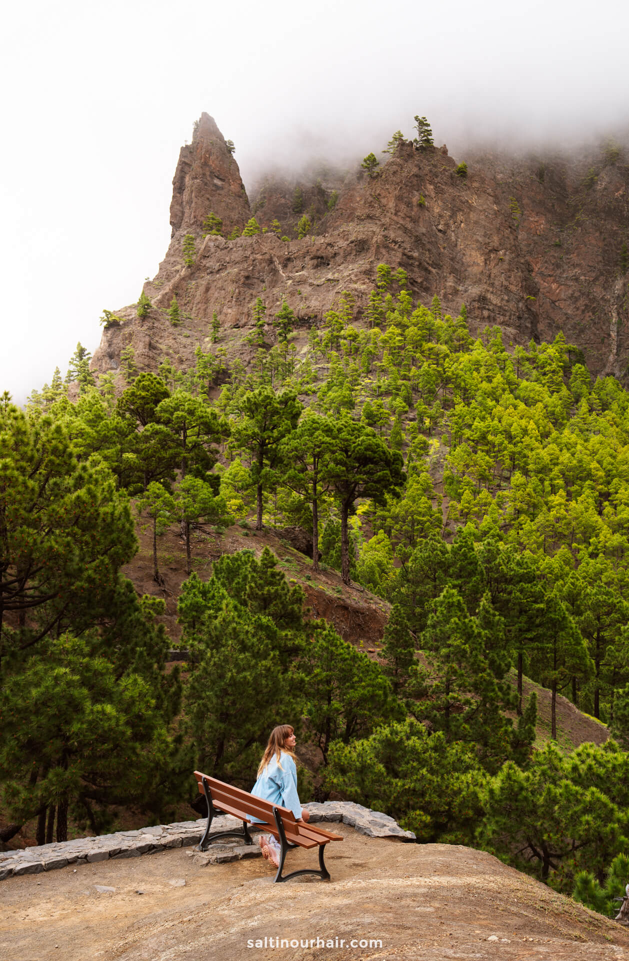 A woman sits alone on a bench overlooking a lush, green pine forest and a rocky mountain peak partially covered by clouds—an idyllic scene from La Palma in the Canary Islands, perfect for any Travel Guide.