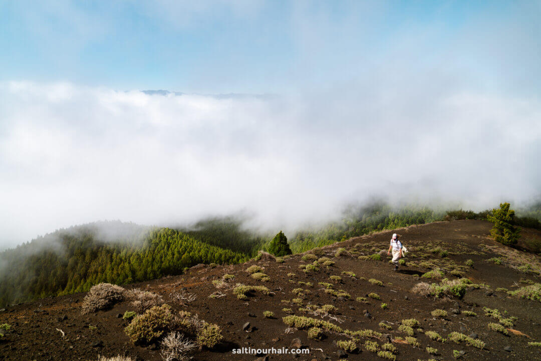 A person sits on a rocky, shrub-covered hillside in La Palma, overlooking a forested area with clouds drifting over the landscape—an idyllic scene from any Canary Islands travel guide.