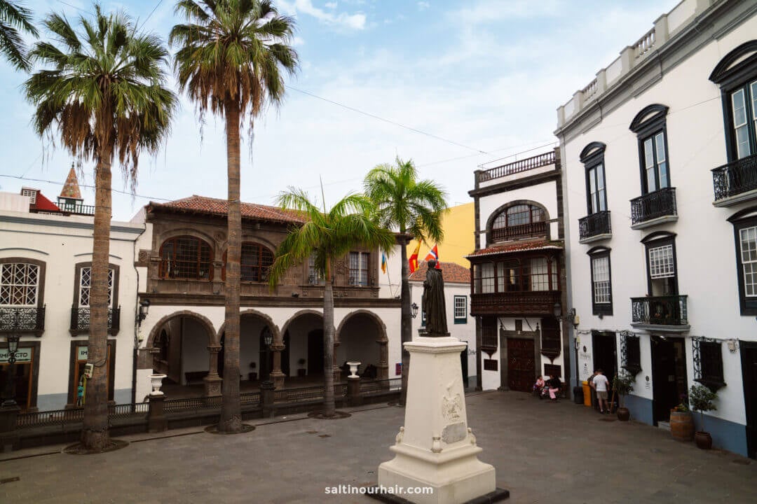 Town square in La Palma with a statue on a pedestal, surrounded by palm trees and historic balcony-lined buildings under a partly cloudy sky—a charming Canary Islands scene perfect for any travel guide.