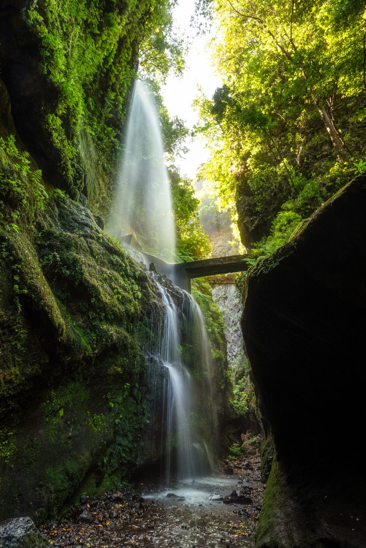 A waterfall cascades over moss-covered rocks beneath a small bridge, surrounded by tall, green trees with sunlight streaming through the foliage—a hidden gem in La Palma, Canary Islands.