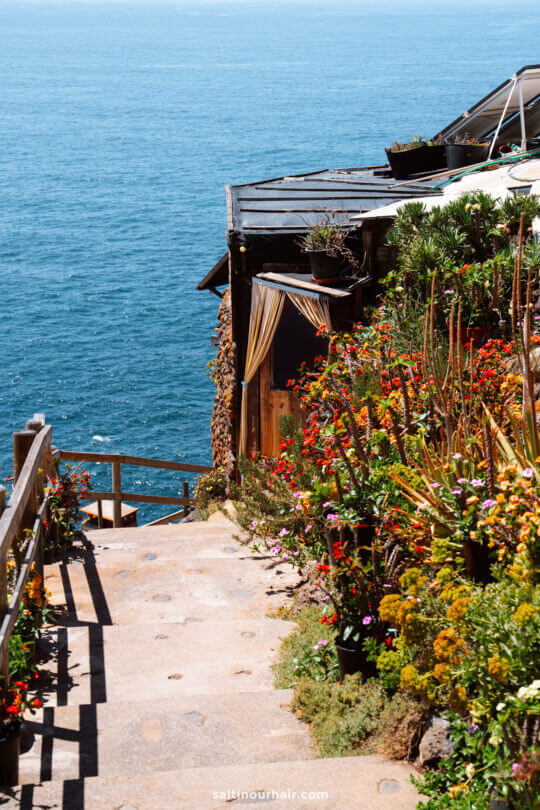 A stone path lined with colorful flowering plants leads down to a wooden railing beside a building overlooking the ocean on a sunny day in La Palma, one of the stunning Canary Islands—a perfect scene for any travel guide.
