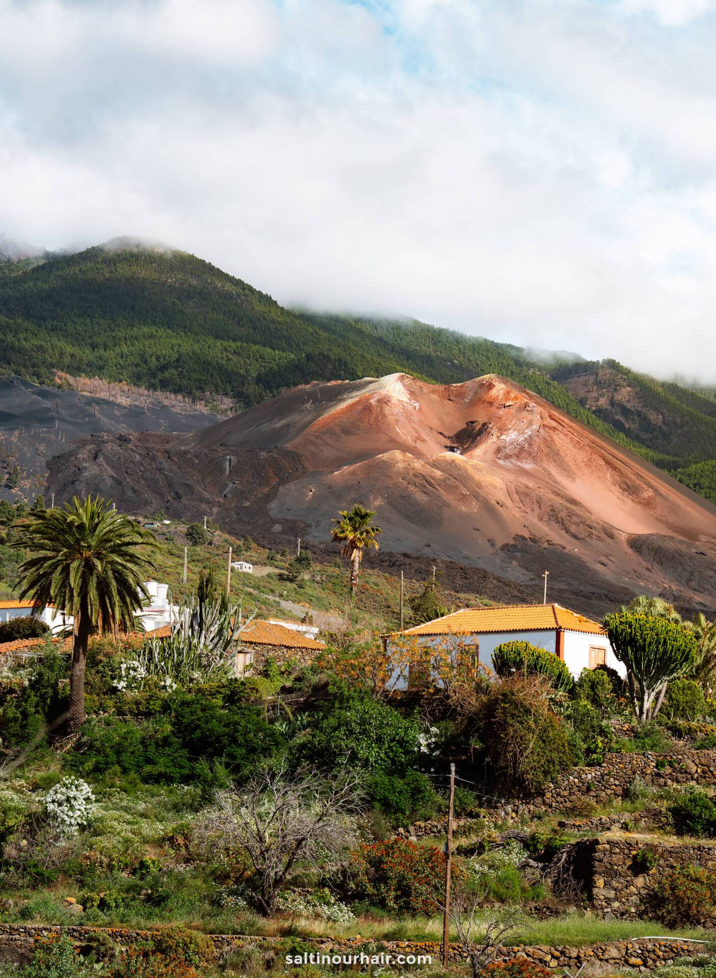 A volcanic landscape with reddish-brown slopes and sparse vegetation, white houses and palm trees in the foreground, and green hills in the background—an iconic scene from La Palma in the Canary Islands for any travel guide.