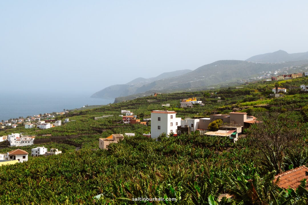 Coastal hillside landscape with terraced banana plantations, scattered houses, and mountains in the background near the sea—an iconic scene from La Palma in the Canary Islands.